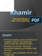 4 - Khamir