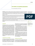 El Eje Microbiota-Intestino-cerebro y Sus Grandes Proyecciones