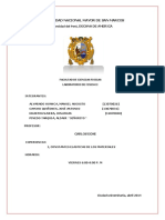 312277150-informe-1-fisica-2-unmsm.pdf
