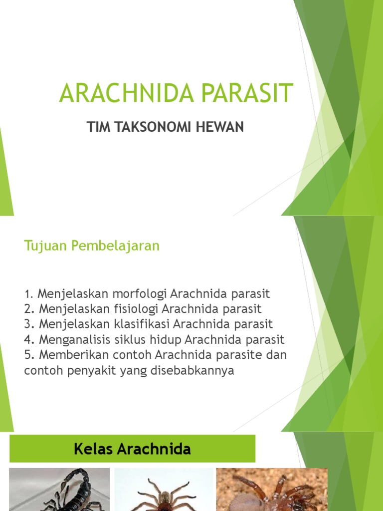 Ciri Hewan Arachnida Pembahasan Soal