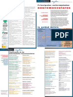 Principales enfermedades neuromusculares.pdf