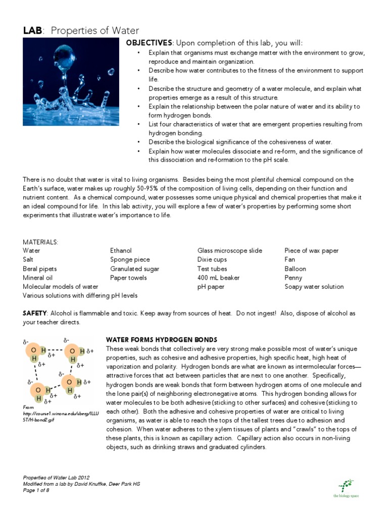 Properties of Water Lab 2012a PDF Hydroxide Ph