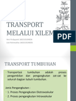 Transport Melalui Xilem Fix