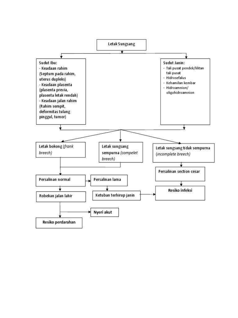 Pathway LS | PDF