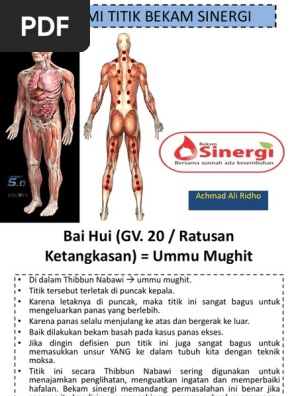 10 Anatomi Titik Bekam Sinergi 1