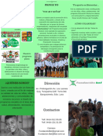 Brochure Tocar y Soñar 1 PDF