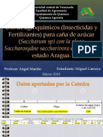 Fertilización y Control Del Sacharosydne Saccharovora en La Caña de Azucar. Carruyo