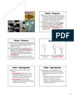 Lecture02 PDF