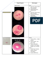 Ospe Histologi