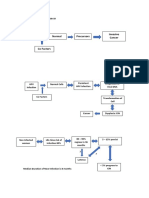 Natural History of Cervical Cancer Precursors