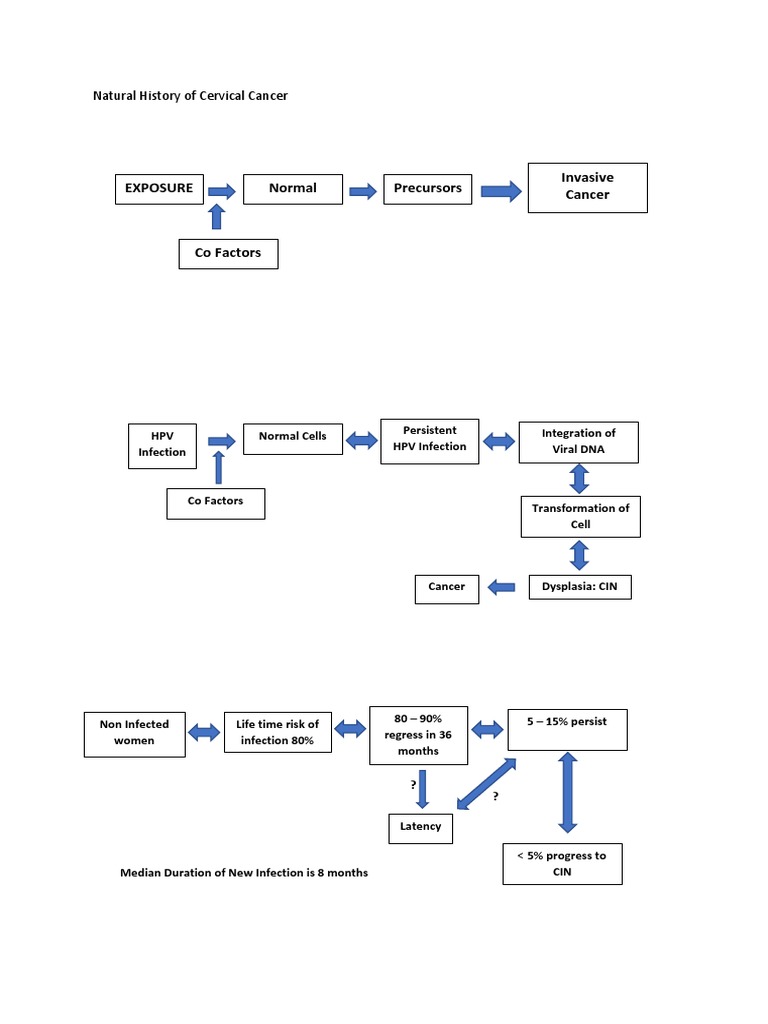Natural History of Cervical Cancer Precursors | PDF | Cervical Cancer ...