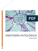 Anatomía Patológica Falta 33 y 37 PDF
