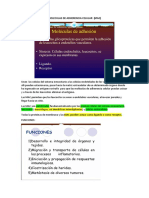 Moléculas de Adherencia Celular: Claves de la Respuesta Inmune