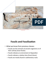 Fossils_2