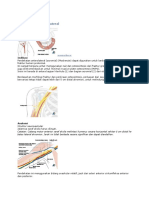 Pendekatan Anterolateral Shoulder