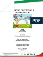 Proyecto Pedagogico Arcoiris