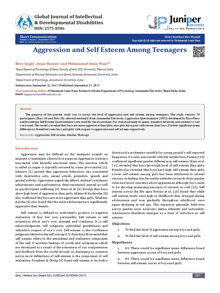 Aggression and Self Esteem Among Teenagers PDF | PDF | Aggression ...