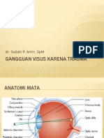 Gangguan Visus Karena Trauma