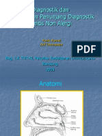 Rhinitis Non Allergi