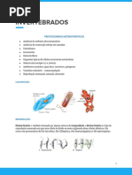 Invertebrados I