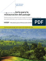 agroforesteria para mañana.pdf