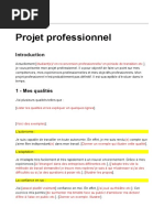 Le Bilan Personnel Et Le Bilan Professionel 1 Pdf Retraite Bilan Comptable
