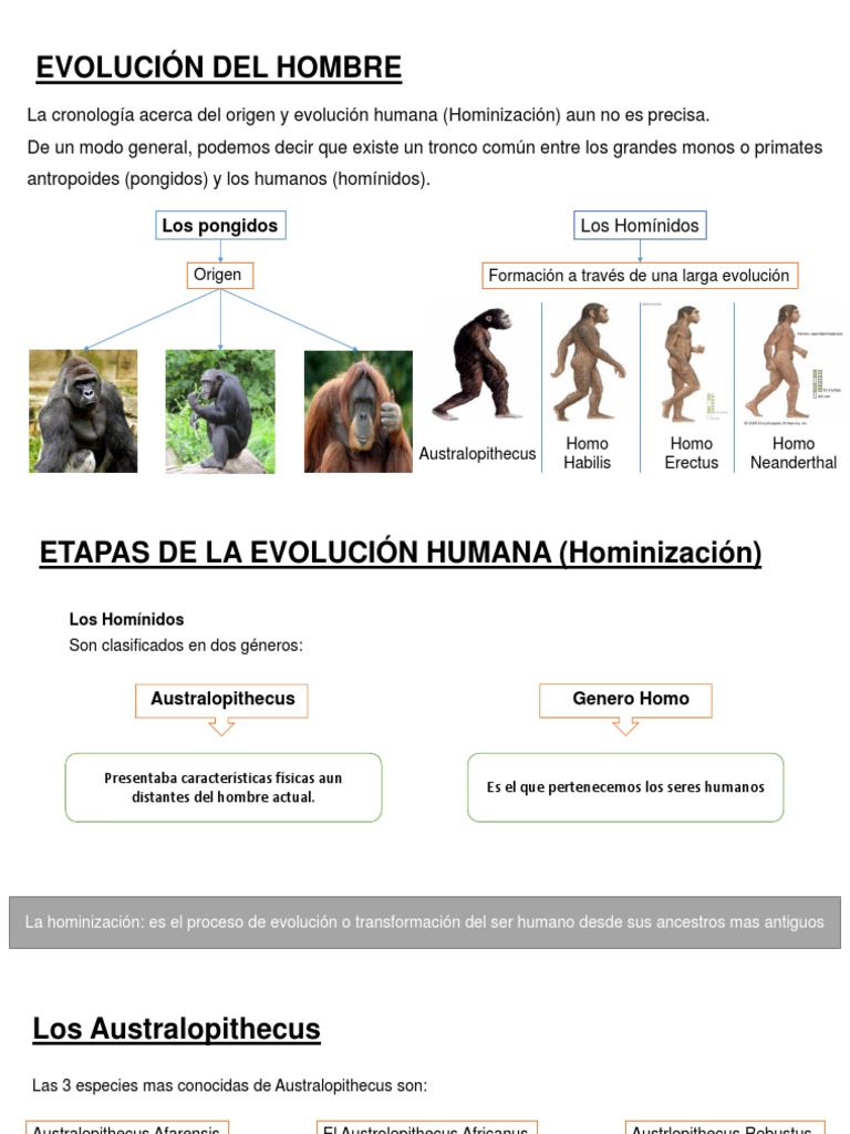 Evolucion Del Hombre | PDF | Homo | Evolución humana
