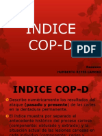 ÍNDICE COP-D Ceo