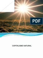 10 - Capitalismo Natural - Odair Salles PDF