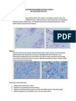 Tugas Praktikum Mandiri Sitohisto Teknik 2