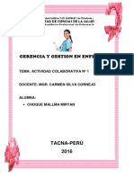 Gerencia Y Gestion en Enfermeria: Tacna-Perú 2016