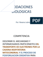 Oxidaciones Biologicas Md