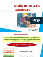 Prevención de Riesgos Laborales PDF