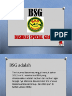 BSG Basarnas