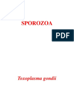 Parasitologi - Protozoologi Sporozoa.ppt