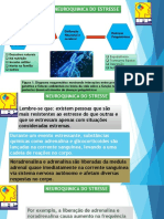 Neuroquimica Do Stresse