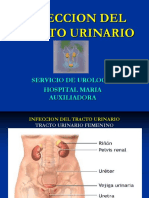 Infeccion Del Tracto Urinario: Servicio de Urologia Hospital Maria Auxiliadora