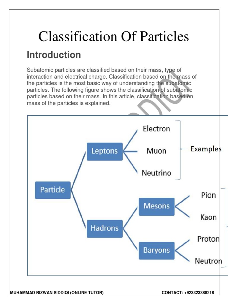 Classification of Particles | PDF | Quark | Elementary Particle