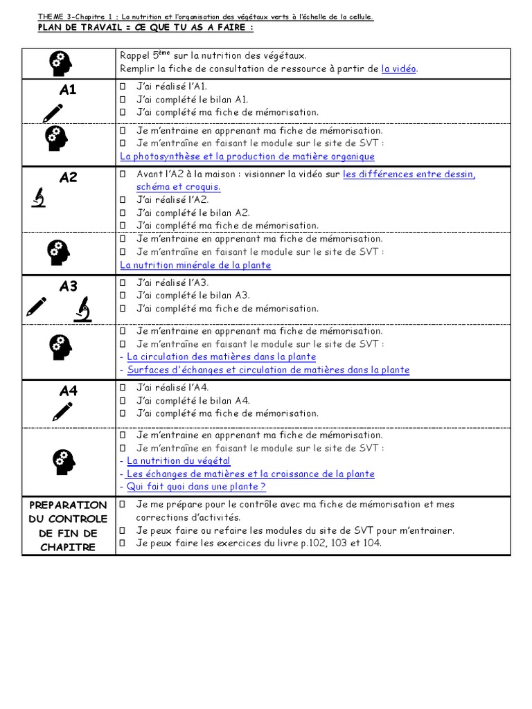 Exercice 5eme Svt Nutrition Des Vegetaux Pdf Plan Travail Nutrition Vegetaux4 | PDF | Plantes | Biologie