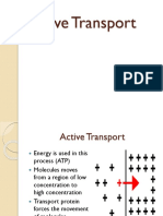 Active Transport Report Laurel