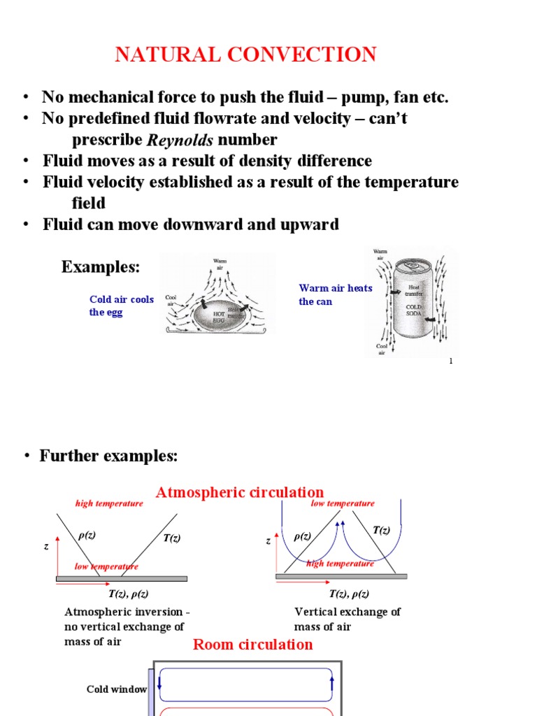 Natural Convection Cold Air Cools The Egg Warm Air Heats The Can PDF