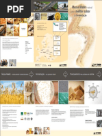 Massa Madre Natural Para o Melhor Sabor da Fermentacao