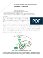 RV Practica 4 Parte 1