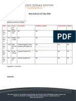 Work Audit Format