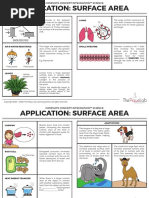 DG1 Application Surface Area Concepts 1sk