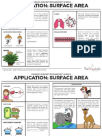 DG1 Application Surface Area Concepts 1sk