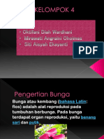morfologi Bunga.pptx