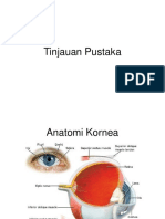 Tinjauan Pustaka