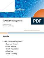 Sap Credit Management Overview