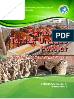 AGRIBISNIS TERNAK UNGGAS PETELUR SMSTR 2 PDF